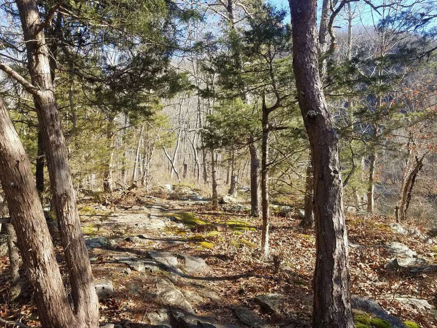Old Rag Circuit Trail