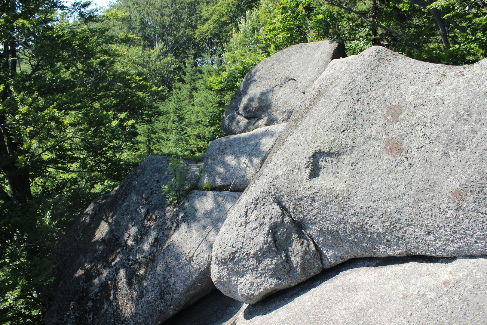 Old Rag Granite Outcrops