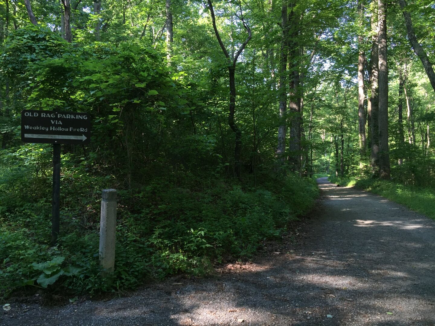 Old Rag Saddle Trail